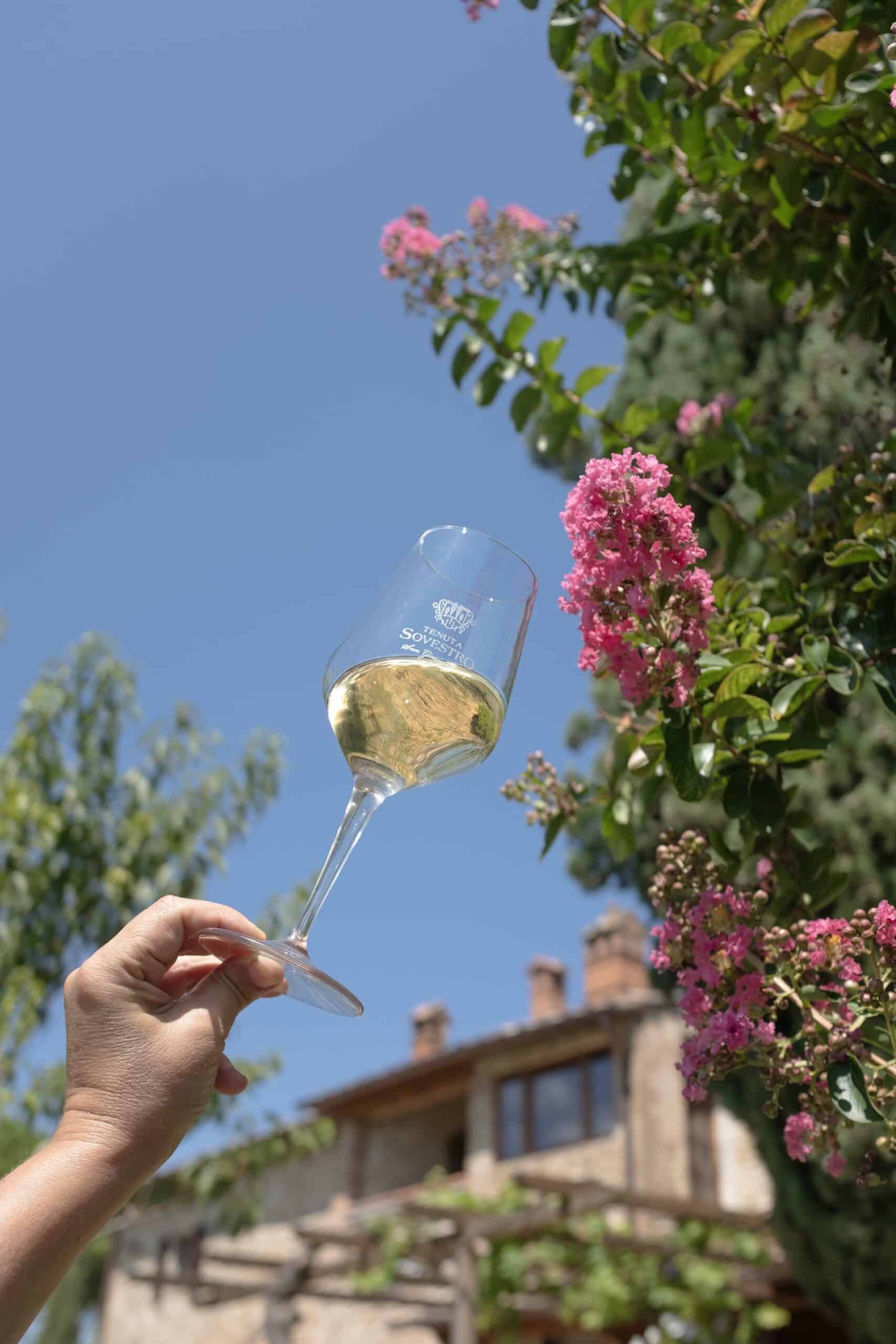 san gimignano degustazione vini scaled