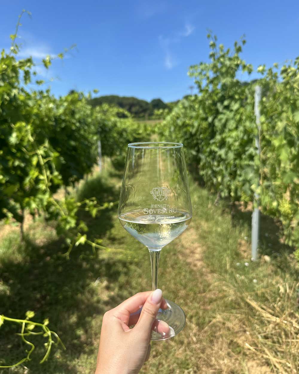 tenuta vinicola toscana